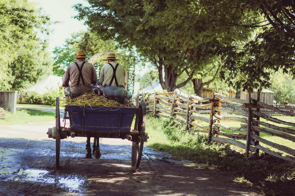Two people wearing straw hats and suspenders ride a horse-drawn cart along a dirt road lined with wooden fences and trees on a sunny day. Straw is piled in the cart, capturing the essence of an Amish Amoxicillin natural remedy for immune support.