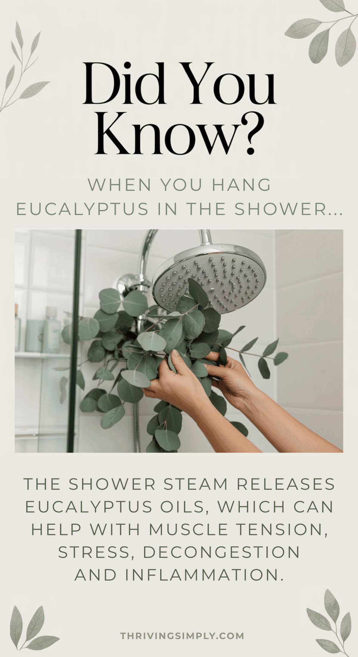 A person hangs eucalyptus in the shower on a modern showerhead. Text explains that shower steam releases eucalyptus oils, offering a soothing shower spa upgrade to help with muscle tension, stress, congestion, and inflammation.