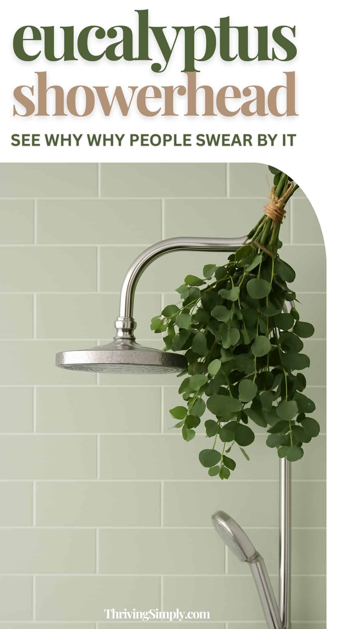 A silver showerhead with a bundle of fresh eucalyptus in shower hangs against a light green tiled bathroom wall. Text above reads eucalyptus showerhead, see why people swear by this spa-like upgrade.